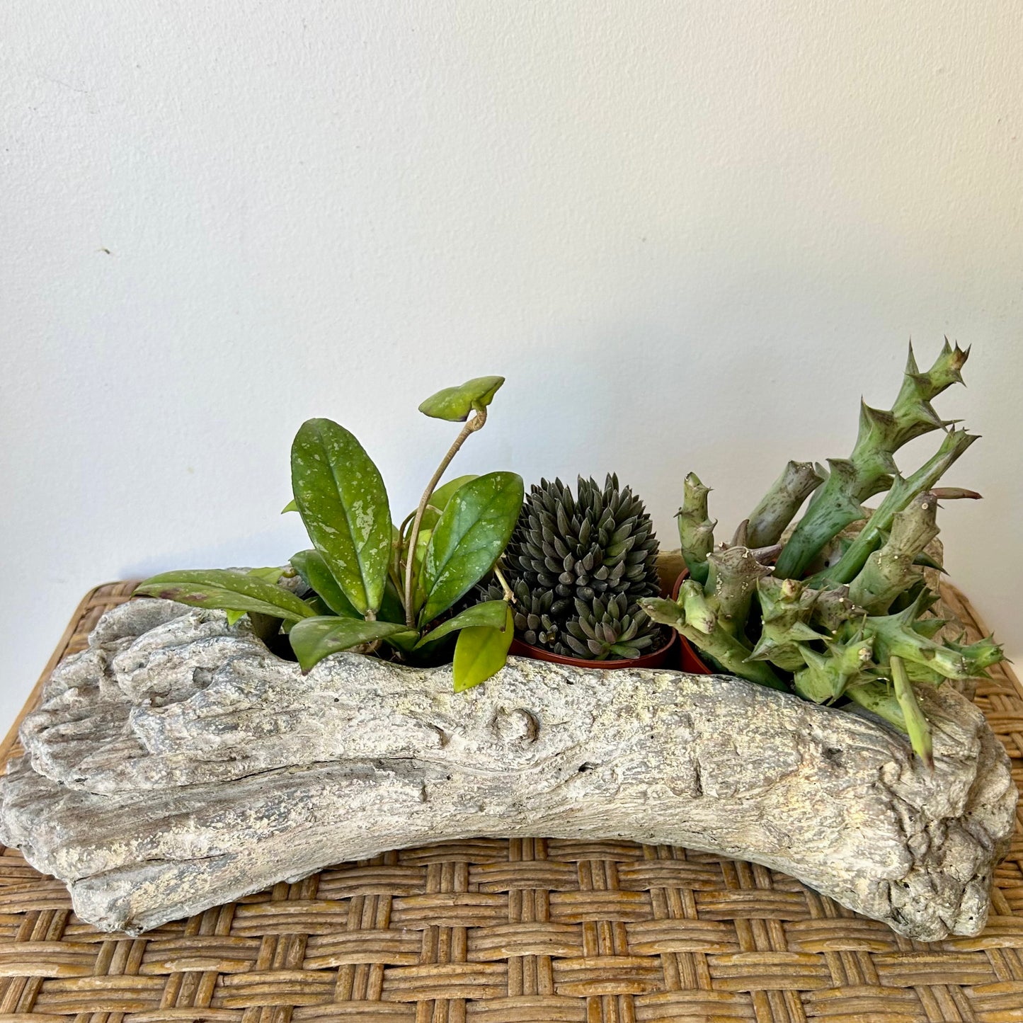 Concrete LOG Decorative Planter (7”X3”)