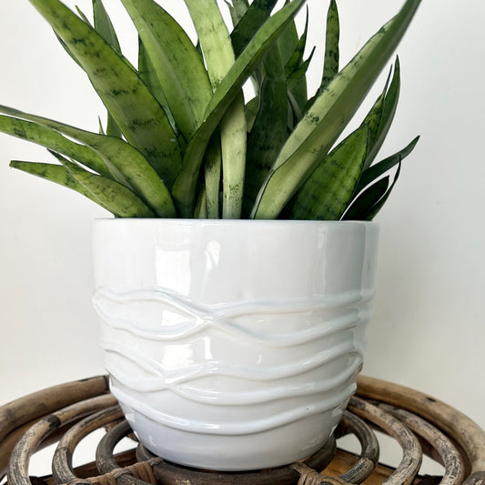 ROSLYN Cover Pot (6.5”x5.5”) available in ROSEY PEACH & WHITE