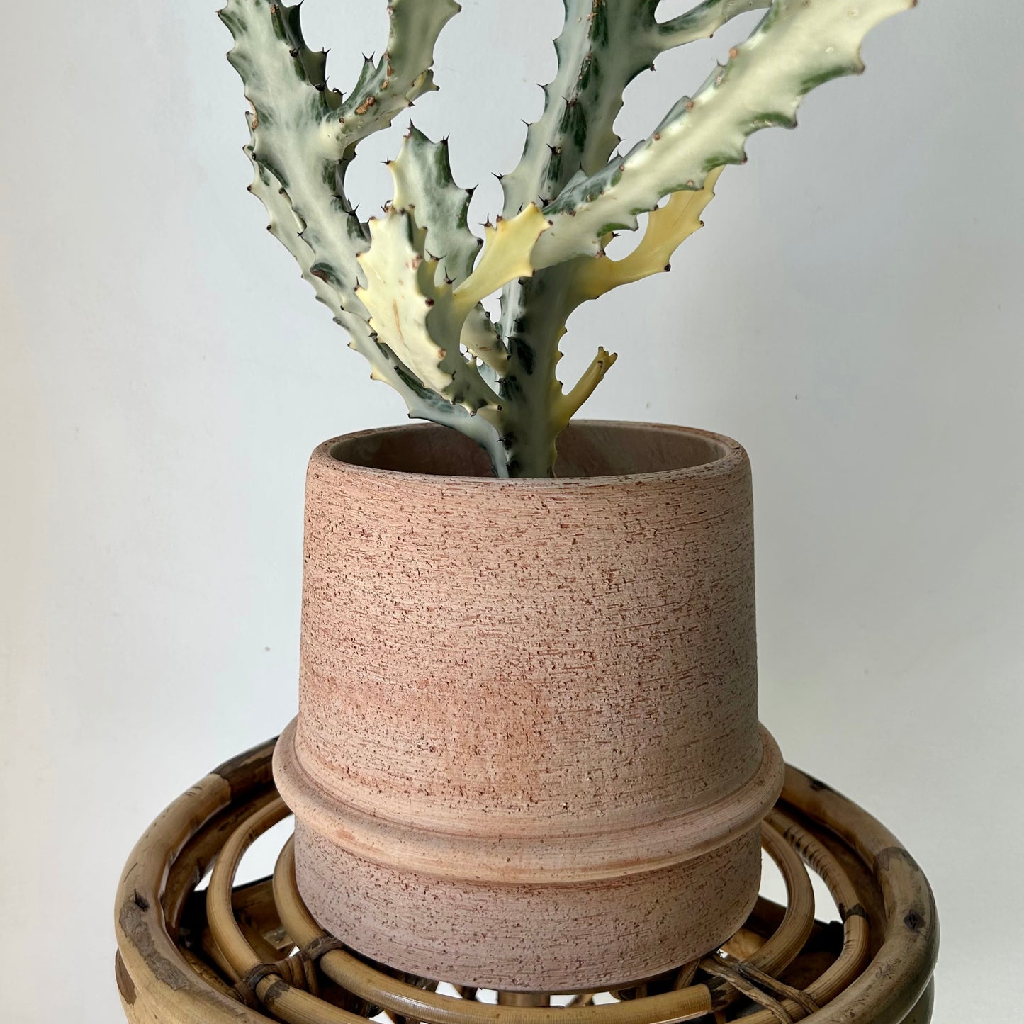 Terra Cotta Planter (6”x6.5”)