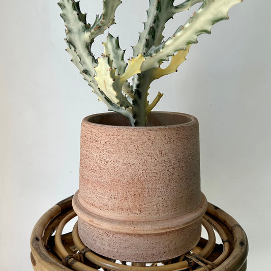 Terra Cotta Planter (6”x6.5”)