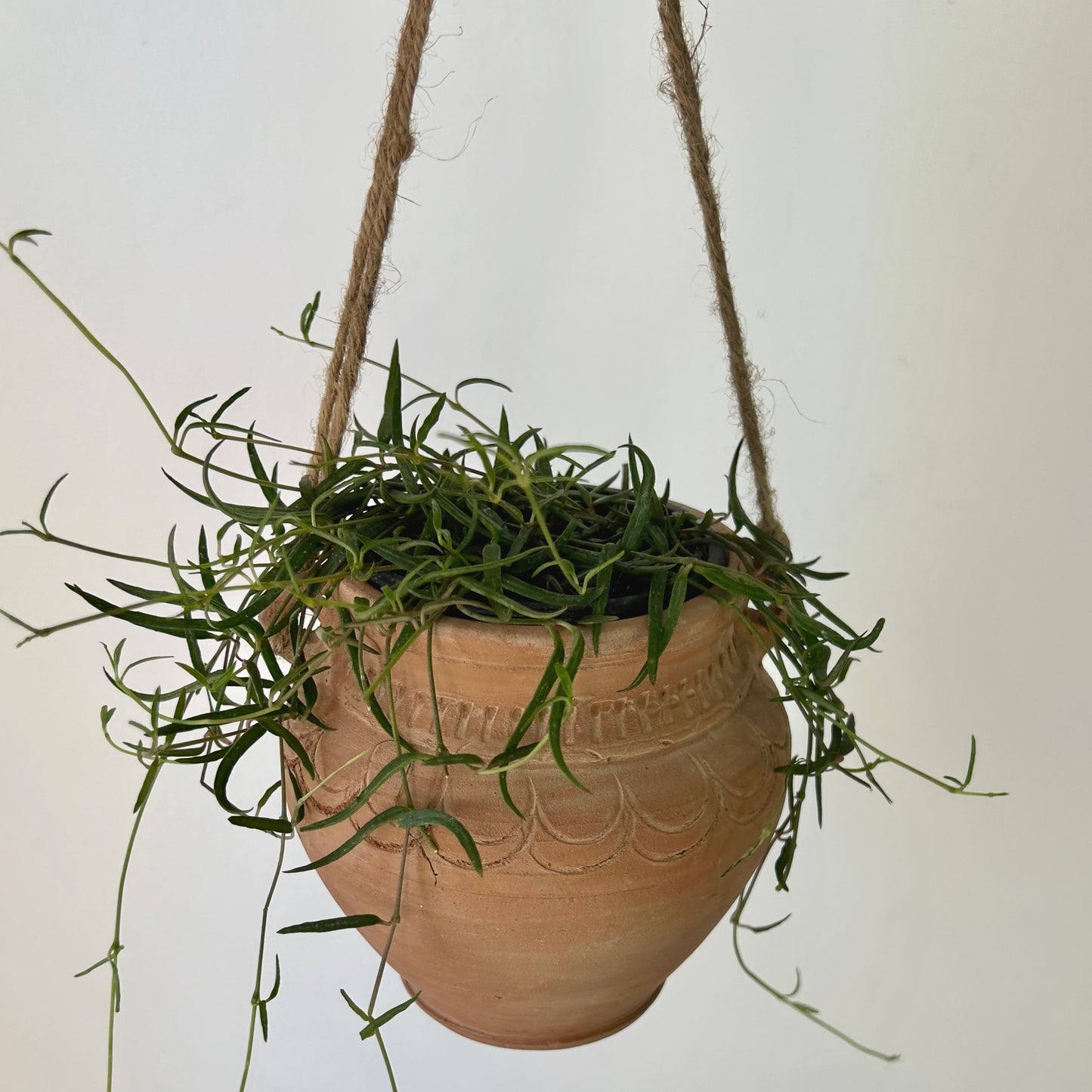 ARIZONA Decorative Clay Pot (3.5”x5.5”)