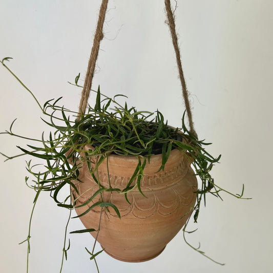 ARIZONA Decorative Clay Pot (3.5”x5.5”)