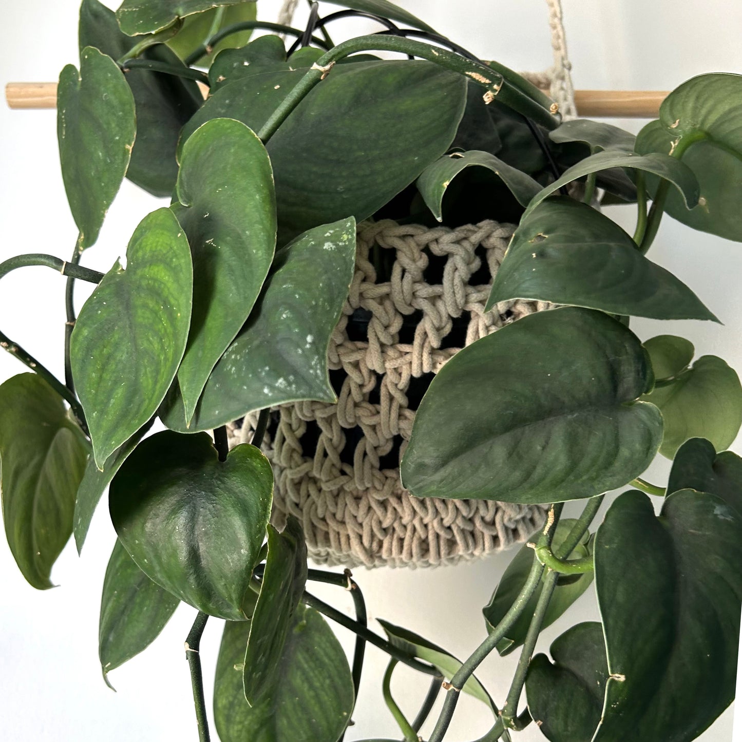 Hanging Macrame Plant Pouch