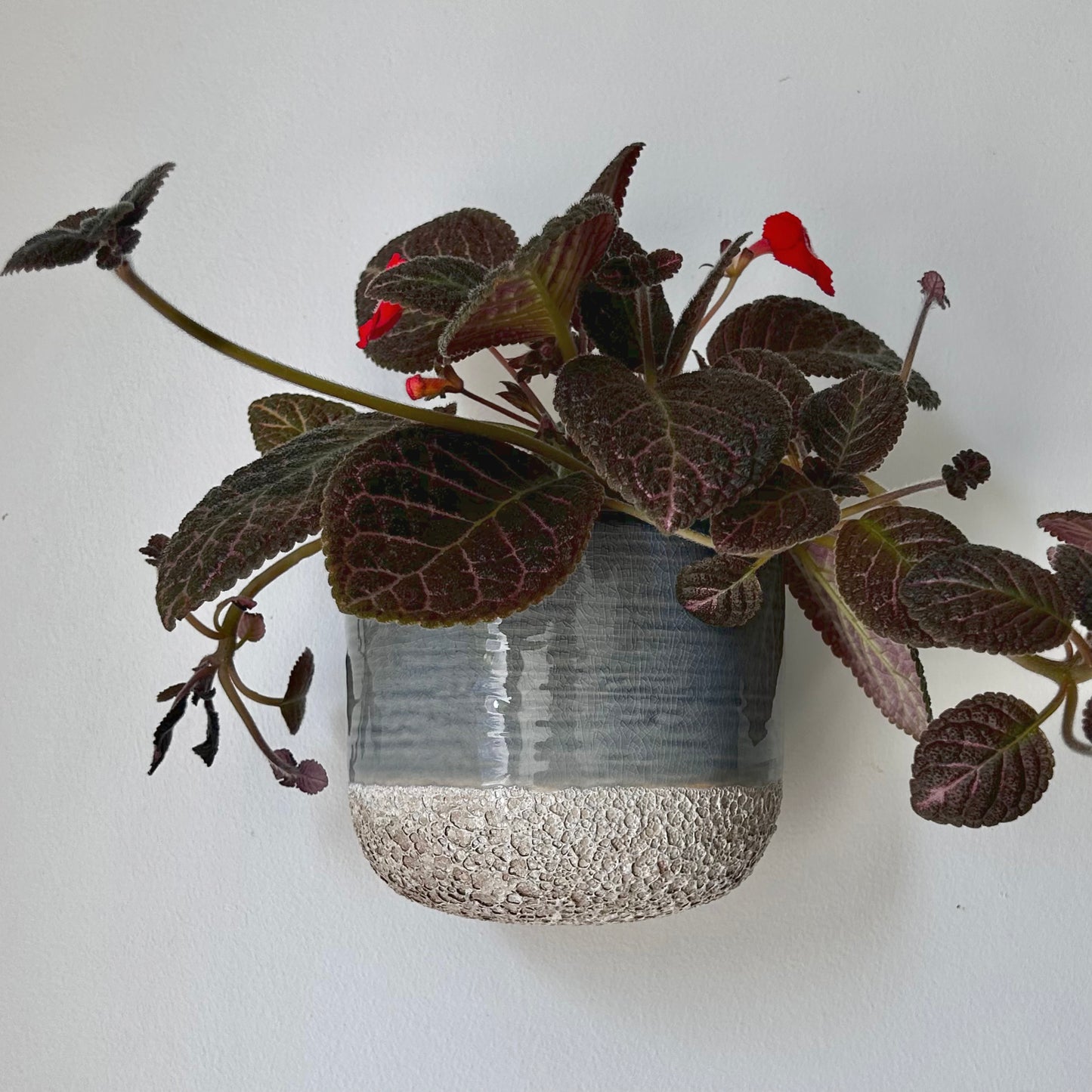 MELO two-tone Ceramic Wall Pot (5”x4.25”)