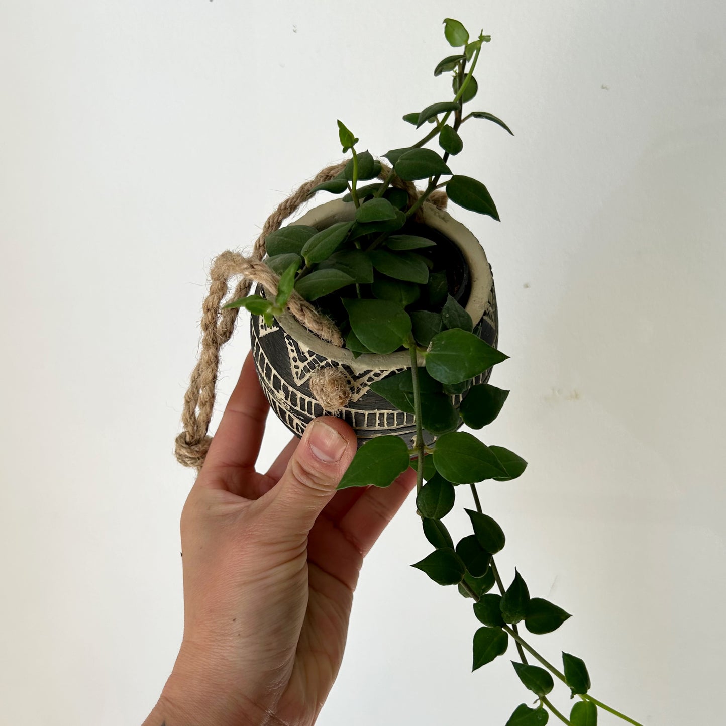 MAISIE Hanging Concrete Planter (2.75”x2.75”)