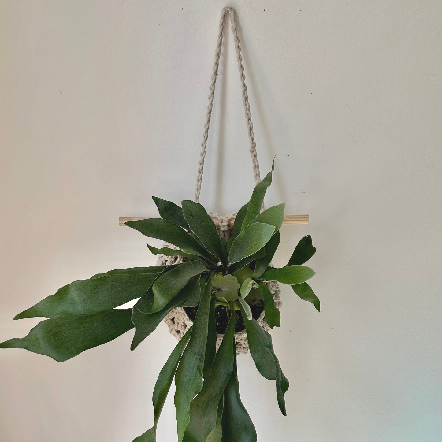 Hanging Macrame Plant Pouch