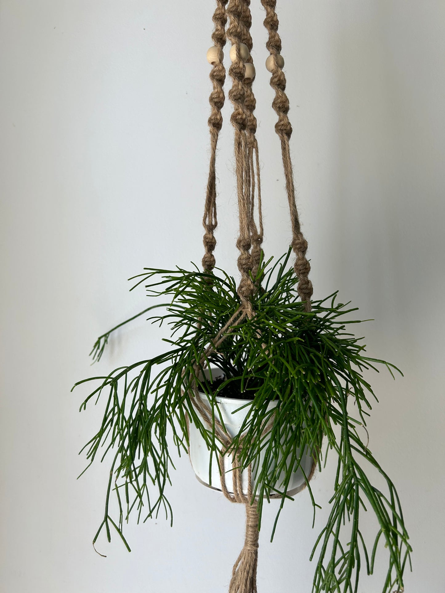 Macrame Jute plant hanger spiral w. Beads (fits up to an 8” pot)