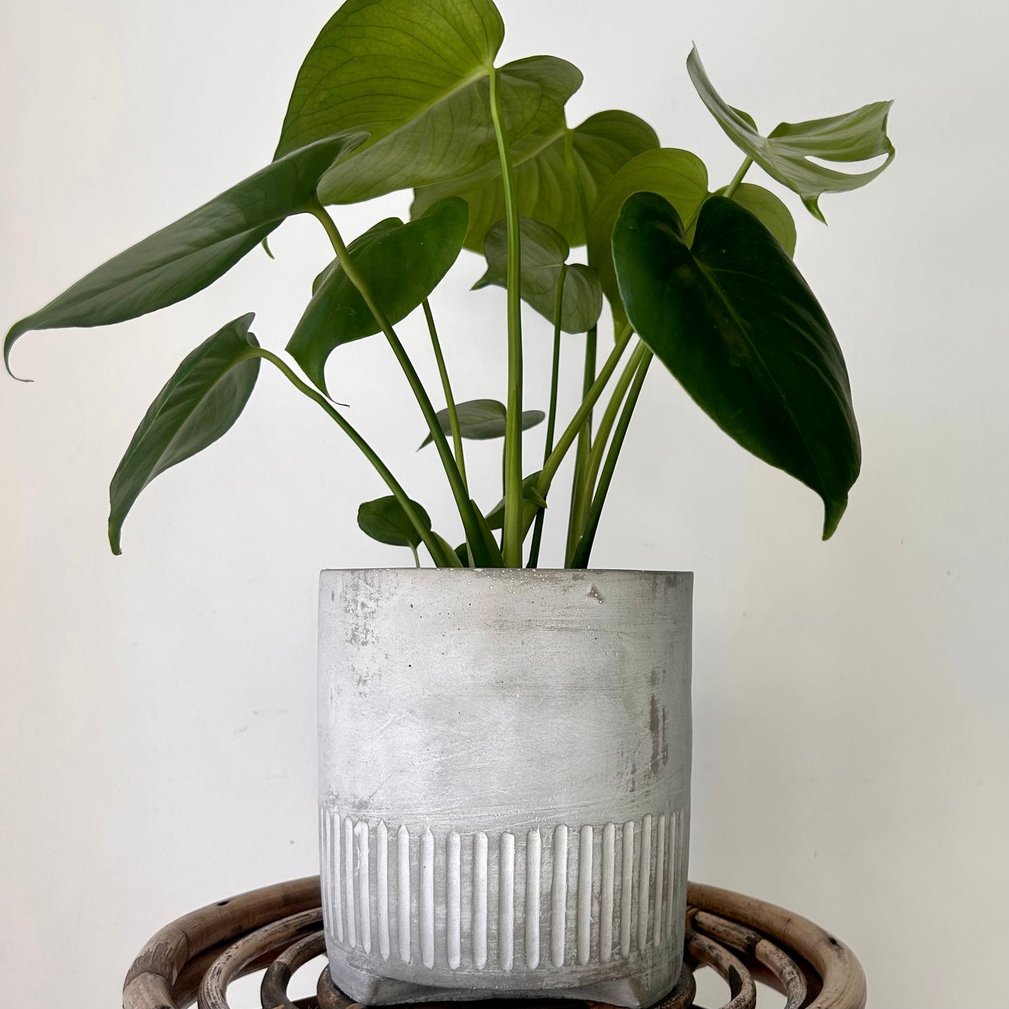 BOWIE Footed Decorative Planter Concrete LIGHT GREY (6”X6”)