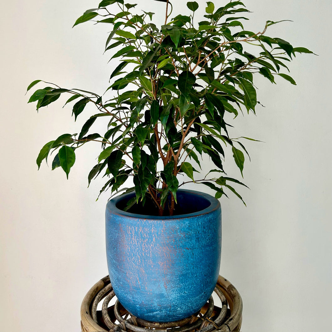 EMERY decorative pot BLUE with red metallic accent  (available  in three colours)