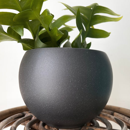 SHILOH Decorative Pot (5.75”x5.5”)textured Graphite