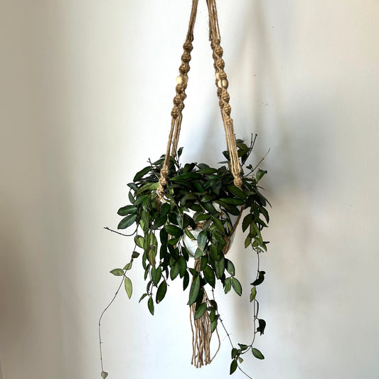 Macrame Jute plant hanger spiral w. Beads (fits up to an 8” pot)