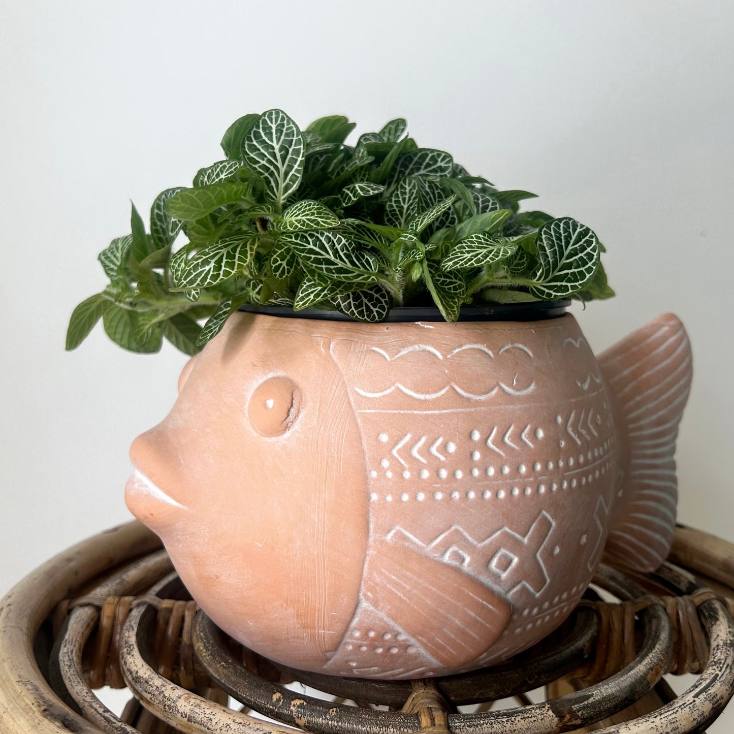 PISCES Decorative Clay Planter (5"x5")