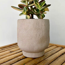 Load image into Gallery viewer, EASTON Stone-Textured Decorative Planter Taupe (3.5”X4)
