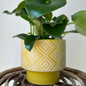 YASMINA Decorative Ceramic Planter Glossy Chartreuse (5.25"X3.25")