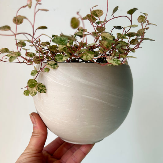 Sphere decorative clay pot (4”x3.75”)