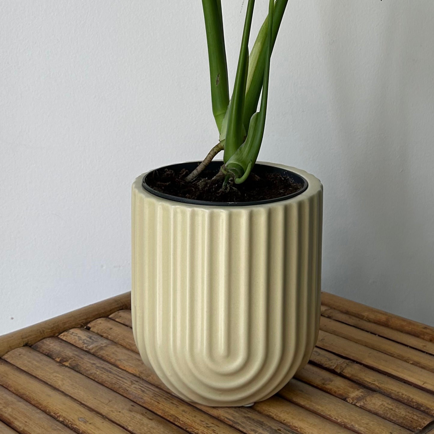 APOLLO Decorative Pot Champagne(5”X5.5”)