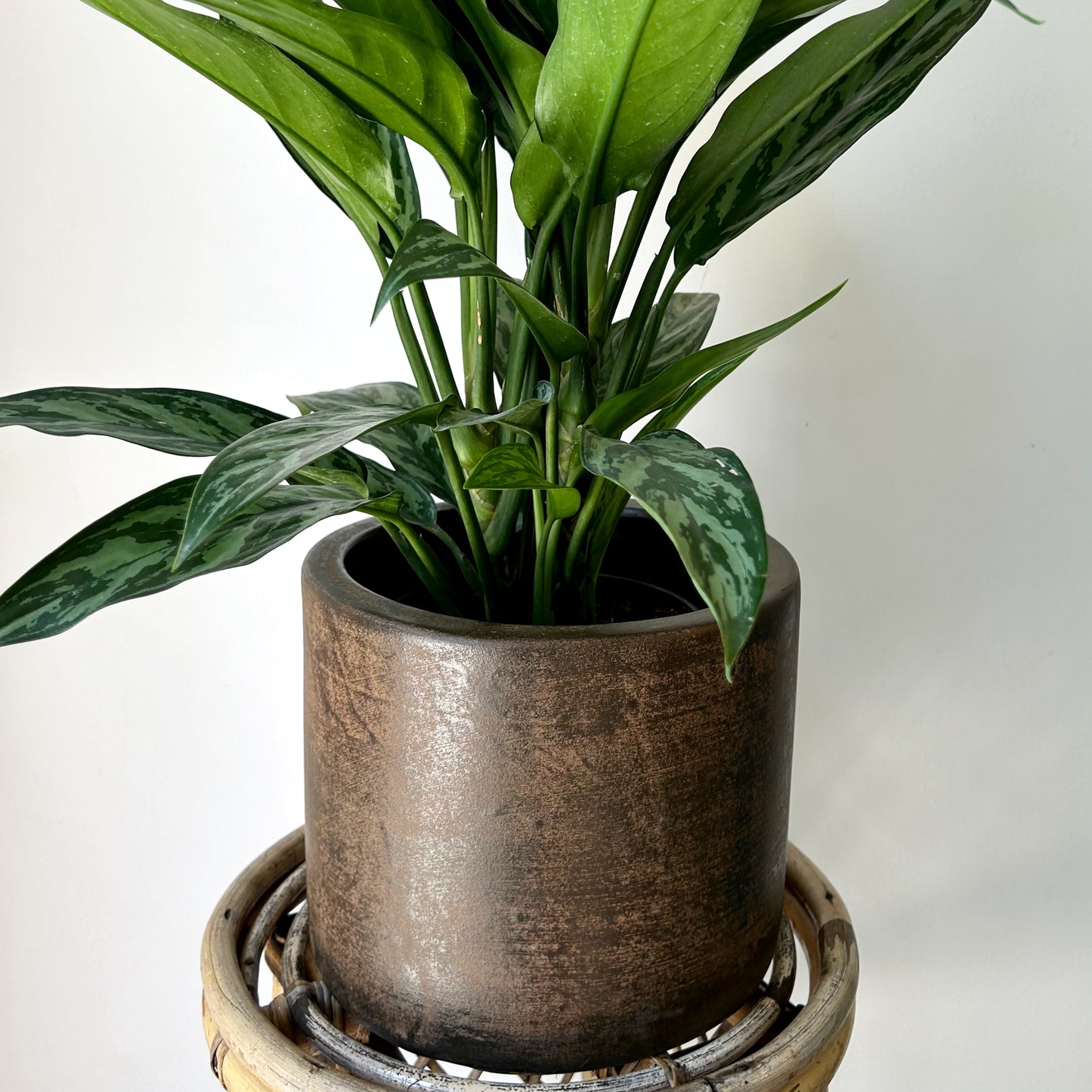 ARTURO Cylindrical Planter COPPER colour (available in 2 sizes)