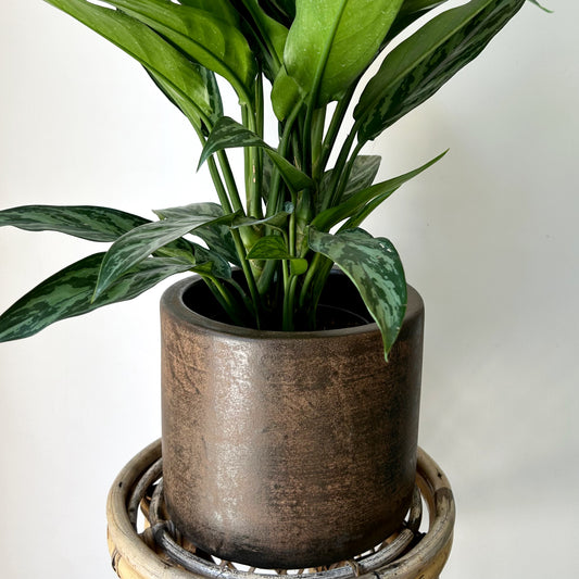 ARTURO Cylindrical Planter COPPER colour (available in 2 sizes)