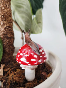 PLANT SHROOMS Snail/Slug on Mushroom Top Decorative Accent