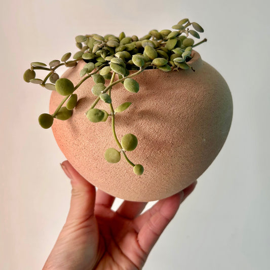 KASTANOS Decorative Pot (3”x4”)