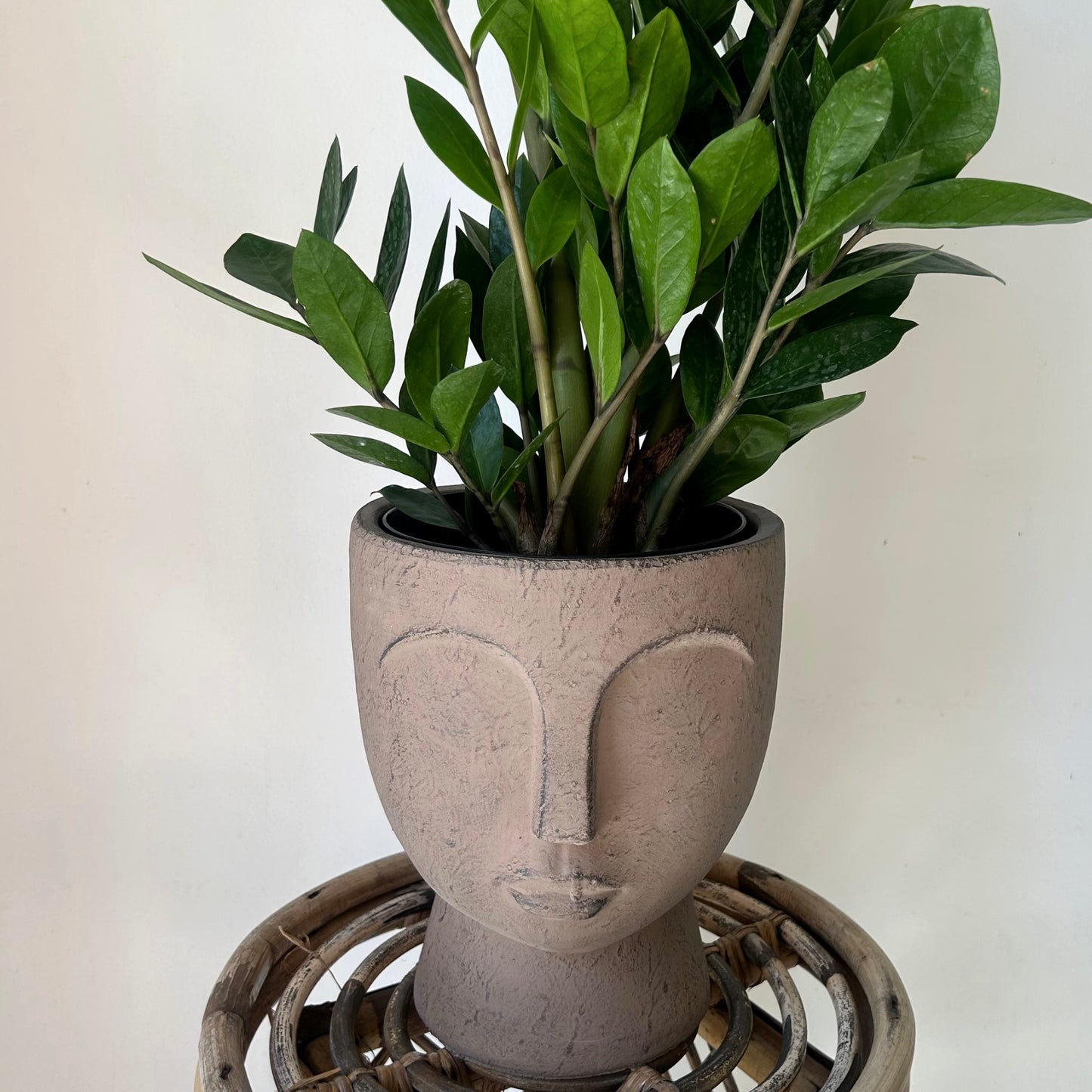 JUNO Pedestal Face Planter (7”x9)