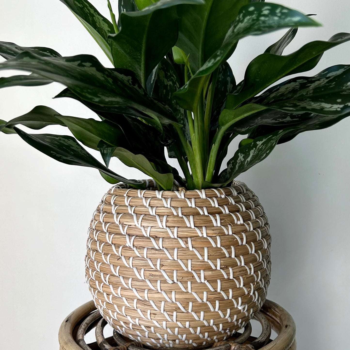 ALDER Decorative Planter Baskets (available in TWO styles)