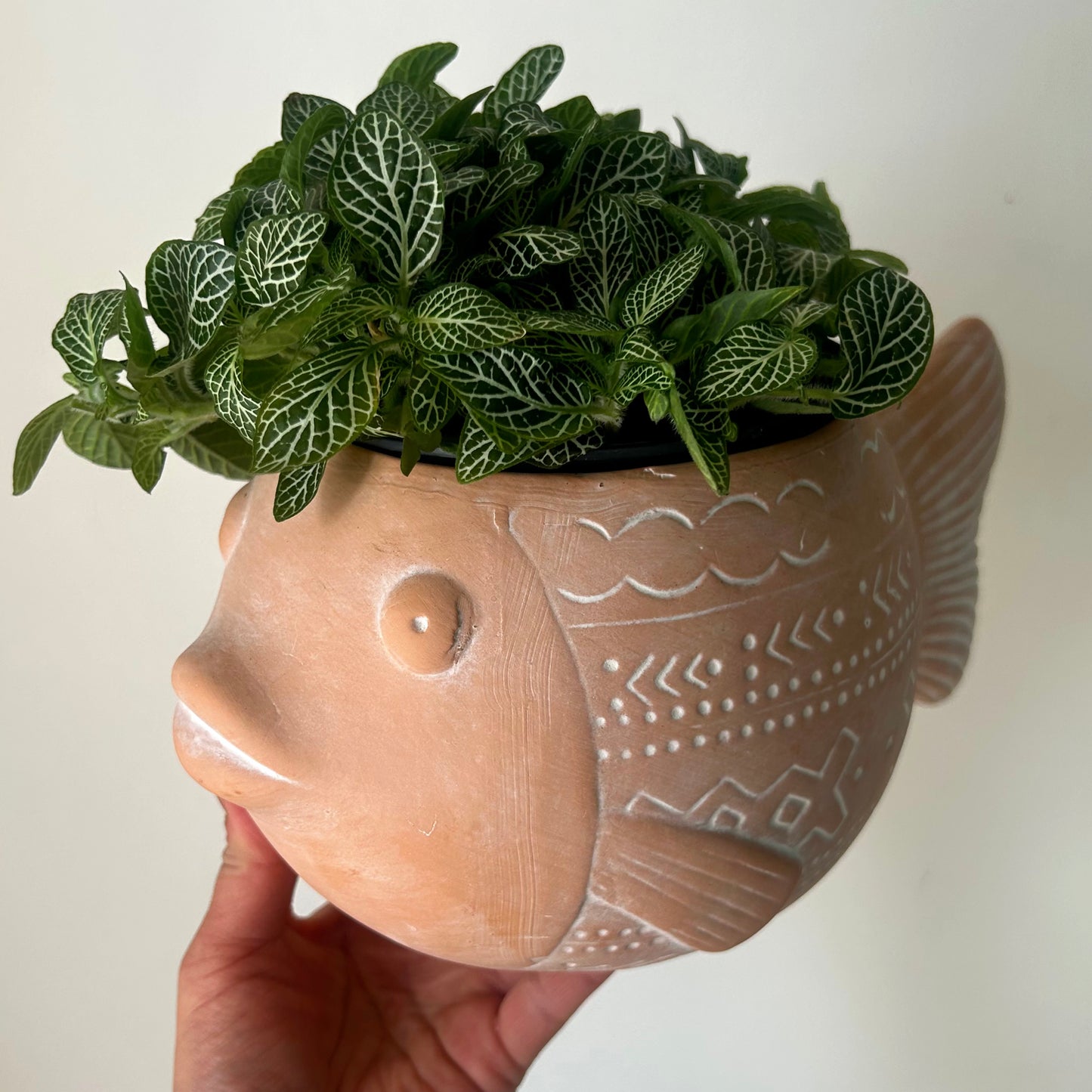 PISCES Decorative Clay Planter (5"x5")