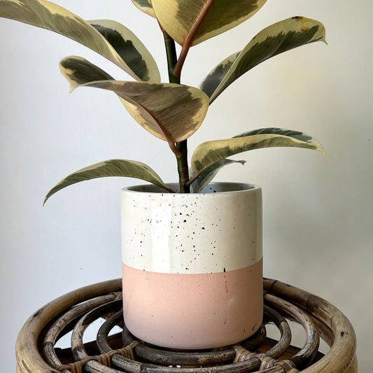 MILO Cylindrical Ceramic Decorative Pot (available in 3 sizes)