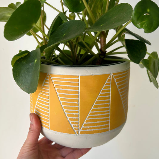 DOROTHY Decorative Pot (6"X5.25")