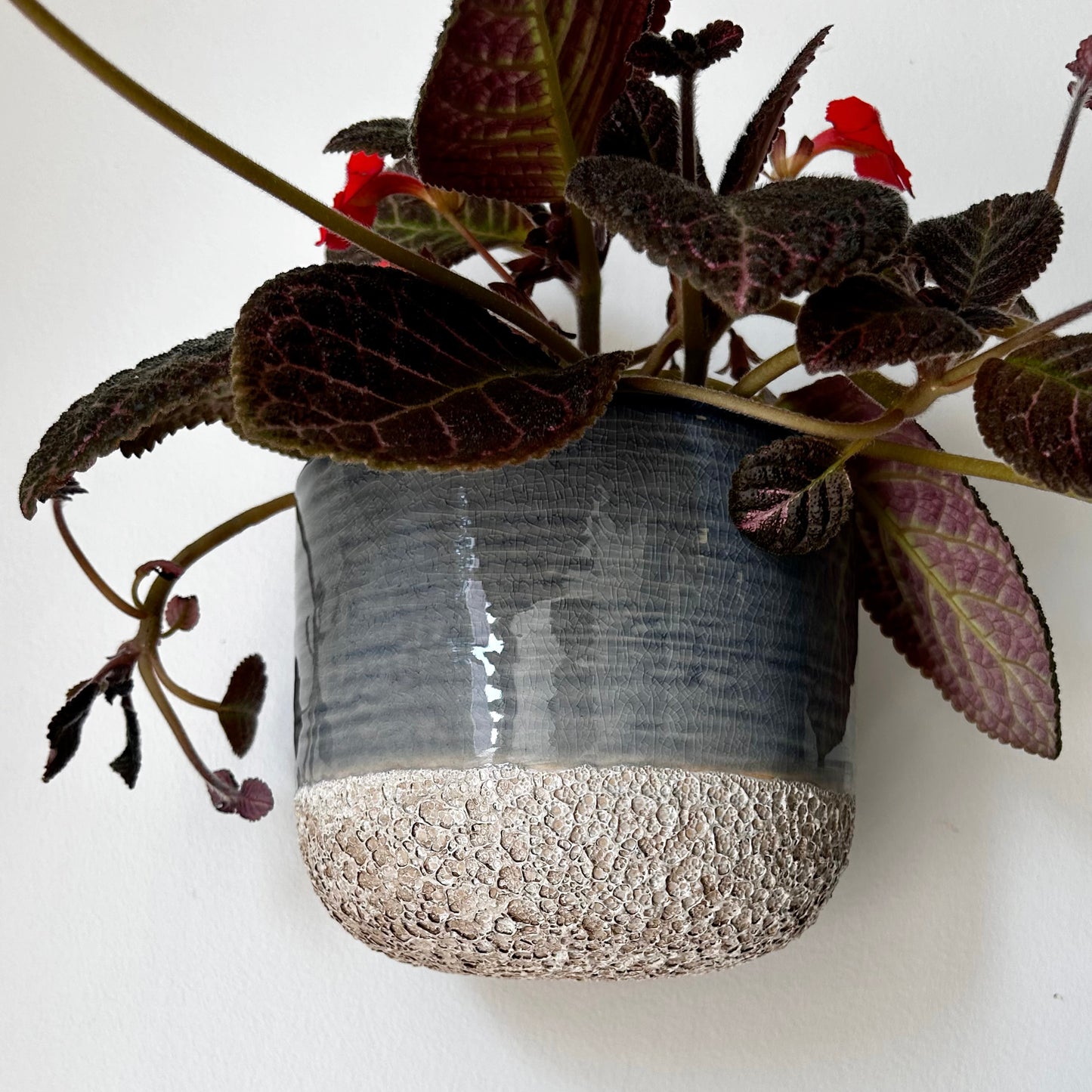 MELO two-tone Ceramic Wall Pot (5”x4.25”)