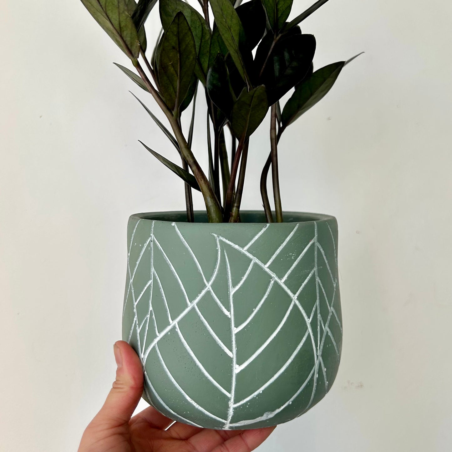 Tulip Concrete Pot Set (of two)