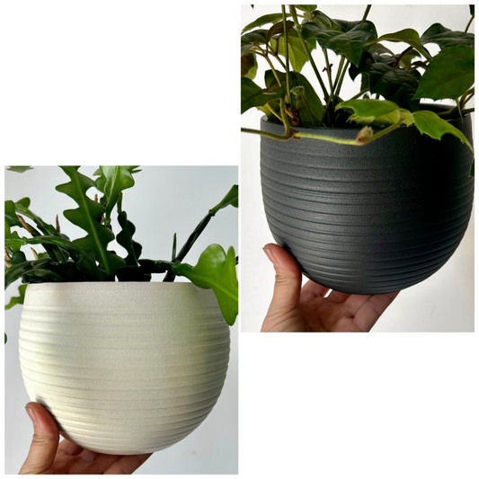 ARDEN Decorative Ceramic Pot  (5.5”x4.75”)