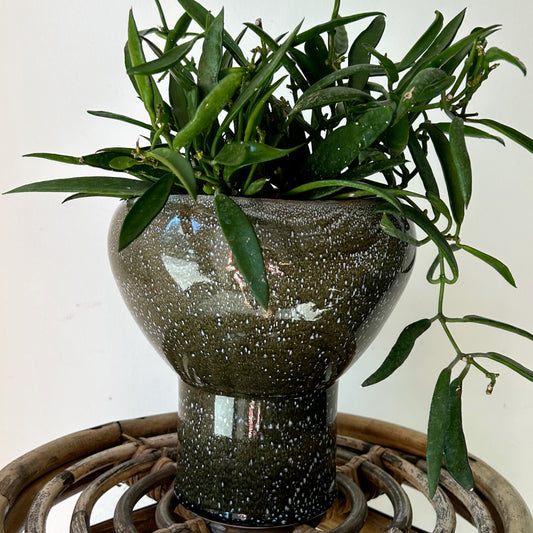FREESTONE Decorative Pot (6”x7") DARK GREEN