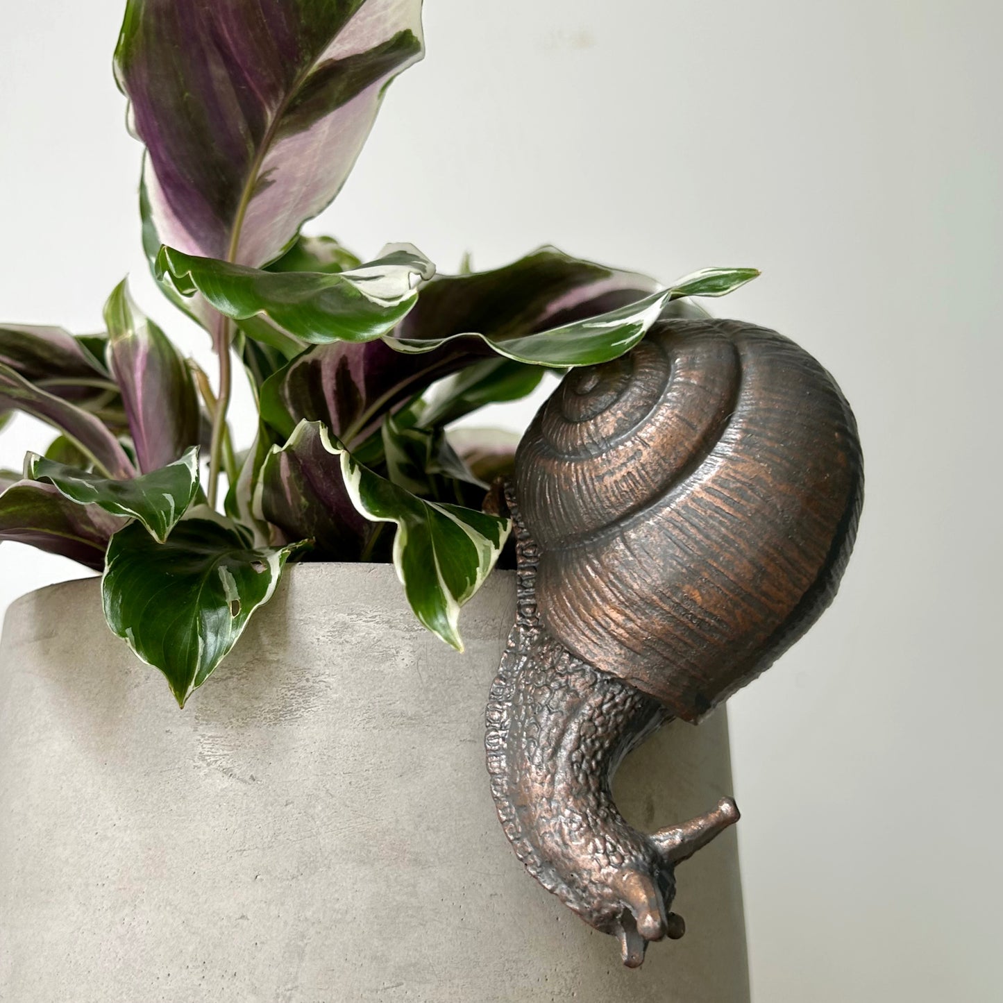 Bronze SNAIL Decorative Accent