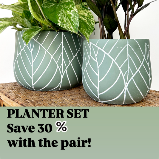 Tulip Concrete Pot Set (of two)