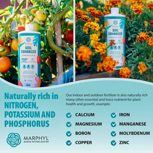 Marphyl organic liquid marine phytoplankton soil enhancer