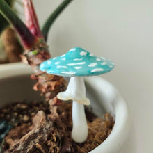 Load image into Gallery viewer, PLANT SHROOMS Toadstool Mushrooms Decorative Accent
