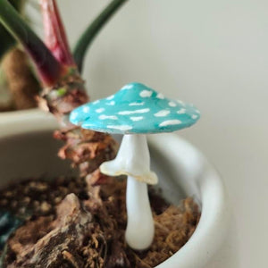 PLANT SHROOMS Toadstool Mushrooms Decorative Accent