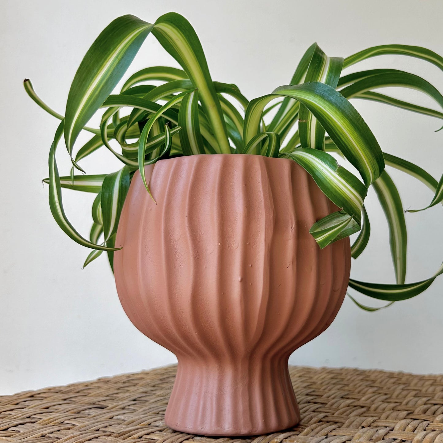 BRONWYN decorative ceramic pot w. Tapered base (4”X3)