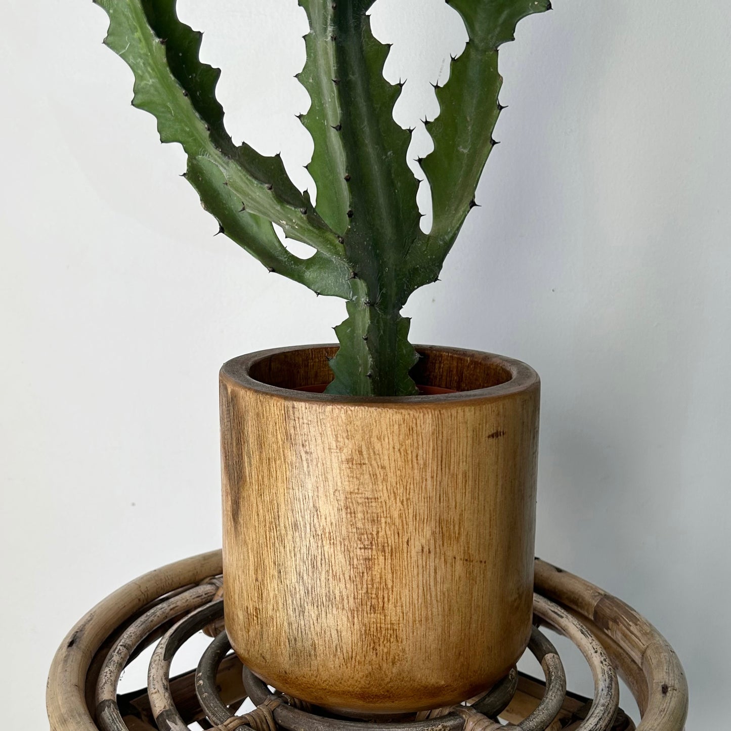 NICO Wooden Decorative Planter (5”x6”)