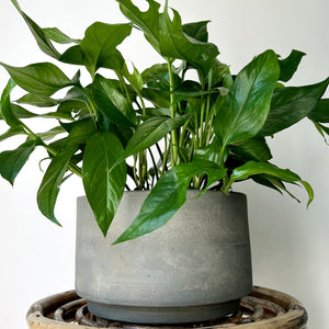 ASHER Modern Concrete Planter GREY (two sizes)