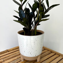 Load image into Gallery viewer, GWENDOLYN Decorative Ceramic Footed Planter (5”X5.25”)
