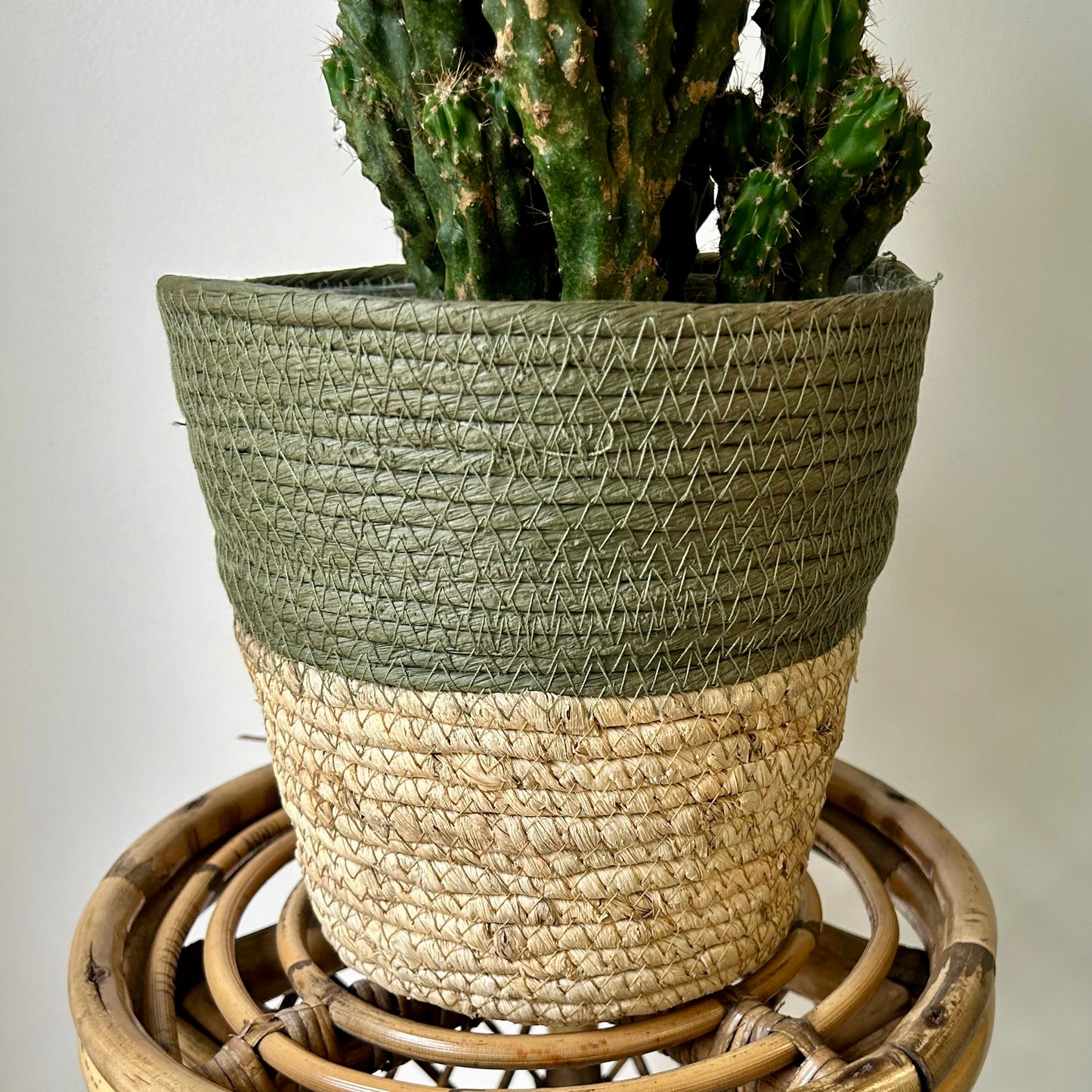 OLIVIA decorative Plant Basket (Available in 3 SIZES)