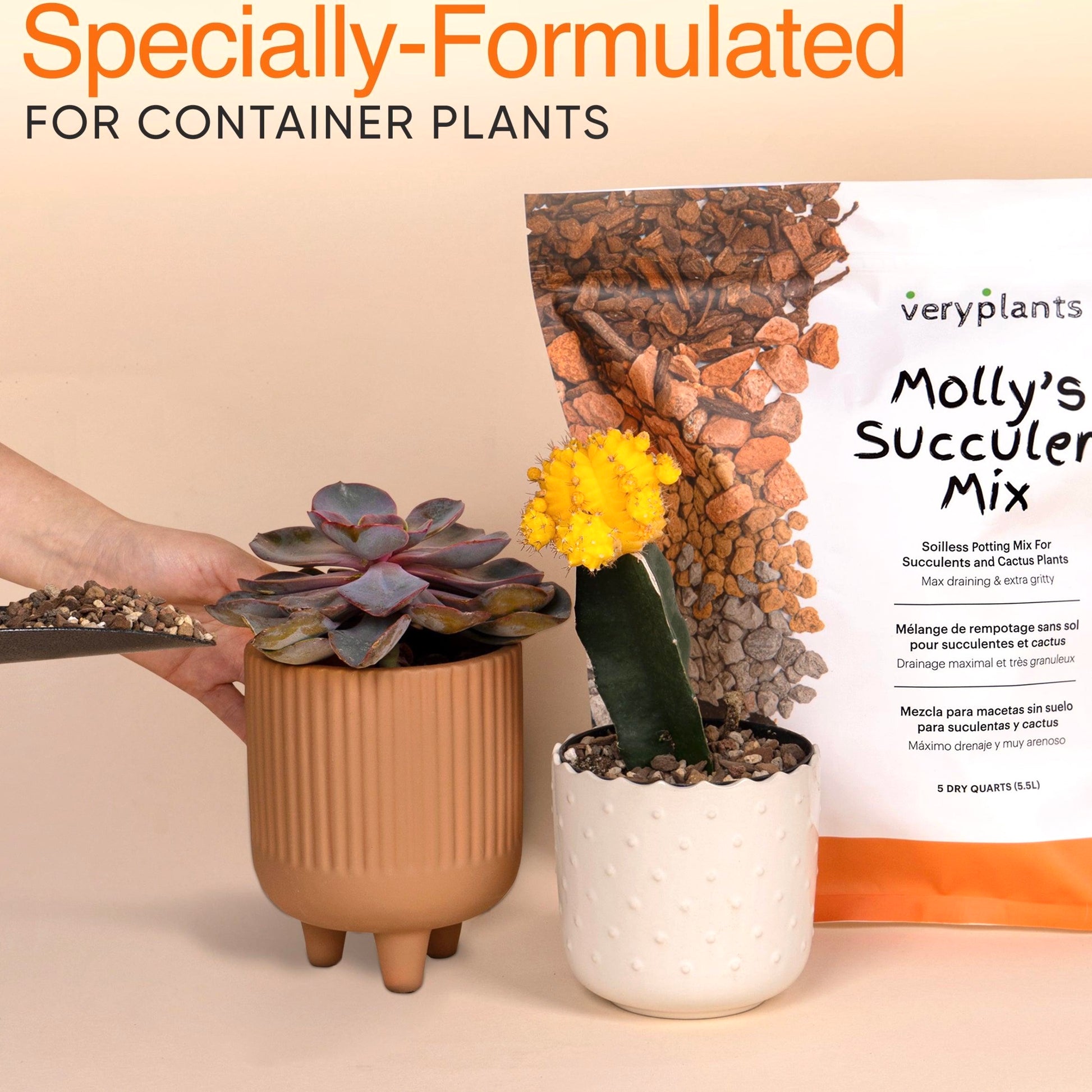 succuler Molly's Premium Succulent Mix – House of Plants