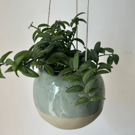 GEO spherical hanging planter (3.5”x5”)