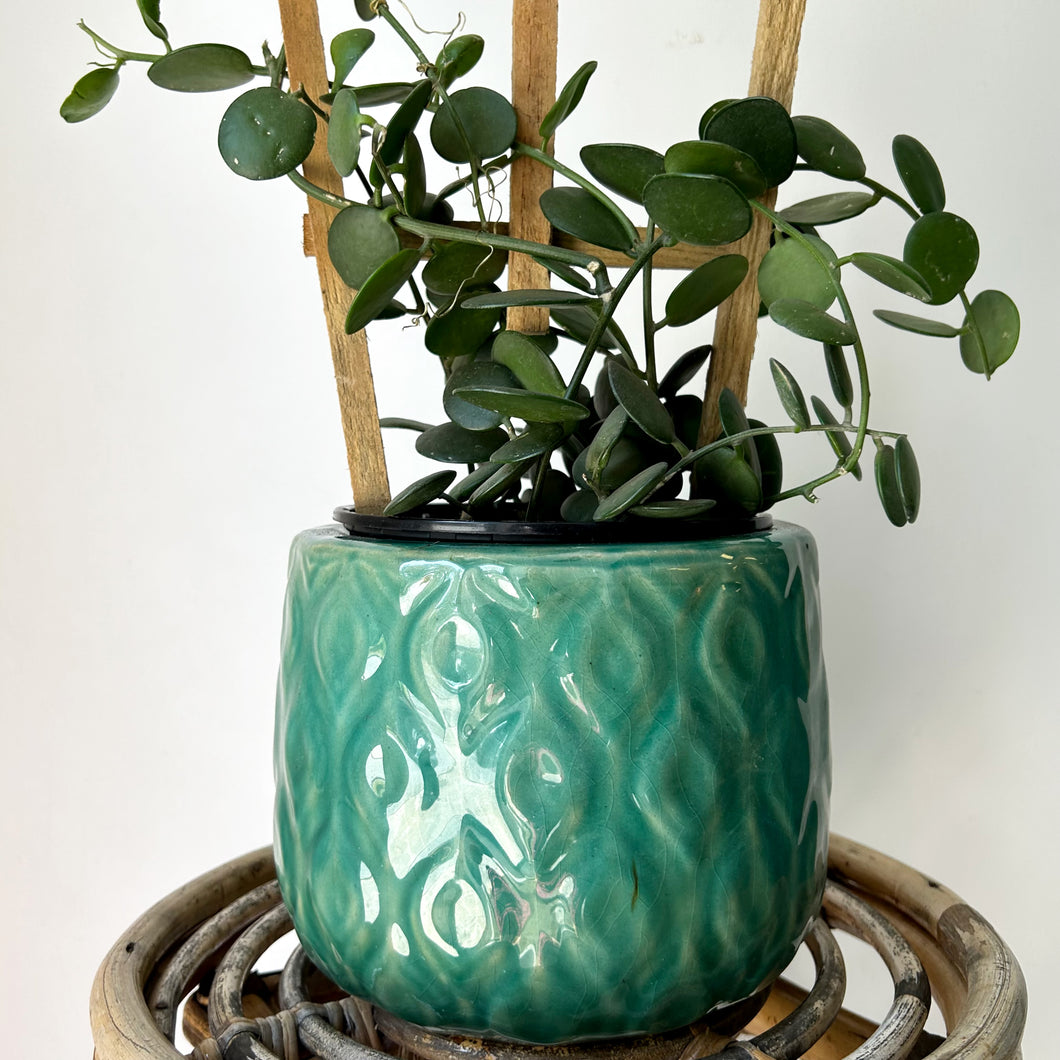 KENDAL Decorative Pot TEAL (5.75”X6”)