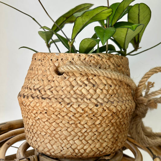 HAVEN Decorative hanging cement pot (rattan textured design) 4.75”x5”