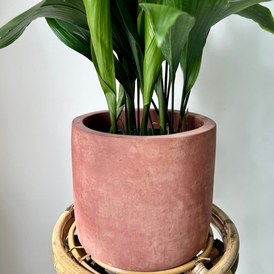 ASHER BLUSH Modern Concrete Planter