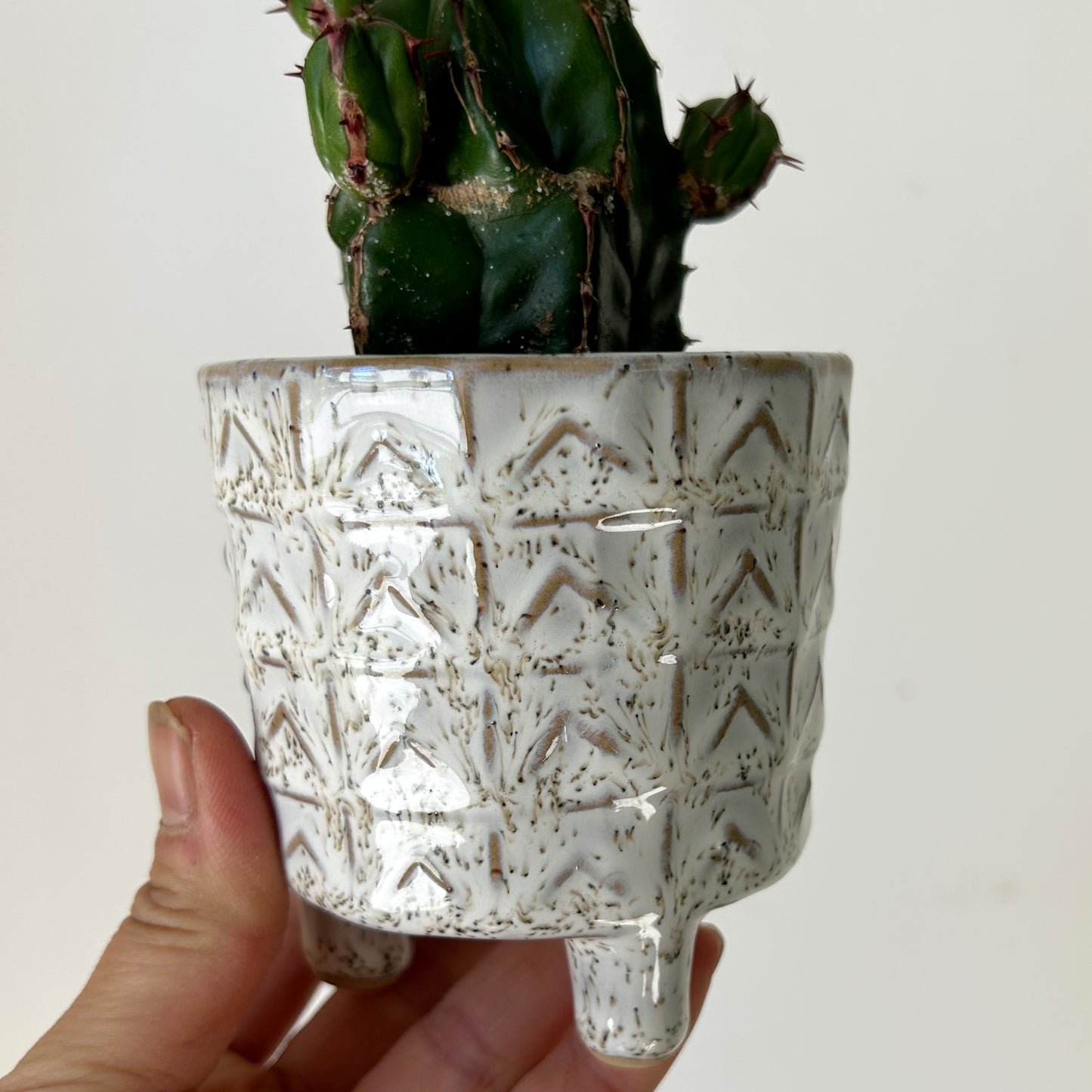 AMRIT Small Decorative Pot (3”x3.25”)