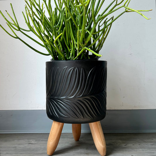 BEATRICE Plant Stand tripod (available in multiple colours)